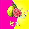 花儿直播手机版