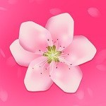 大牛影视中文版app最新版