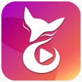 千层浪免费官网