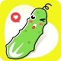 双鱼影视会员版