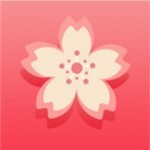 梅花视频一天看三次旧版下载入口