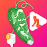 无人在线观看高清视频单曲直播完整版