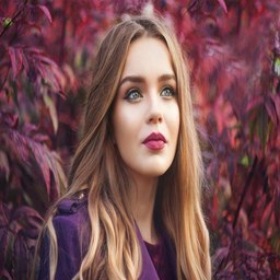 宅福利蜜桃社：无圣光内容的背后探秘与未来趋势