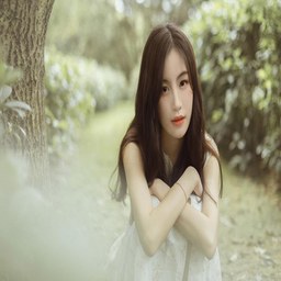 杏吧春暖花开2024年最新消息：探索新趋势与应用前景