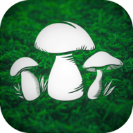 真实采蘑菇模拟器(Real Mushroom Hunting)_logo